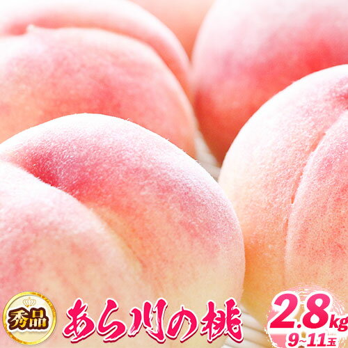 【ふるさと納税】【先行予約】あら川の桃 秀品 約2.8kg (サイズ・品種おまかせ) もも 紀伊国屋