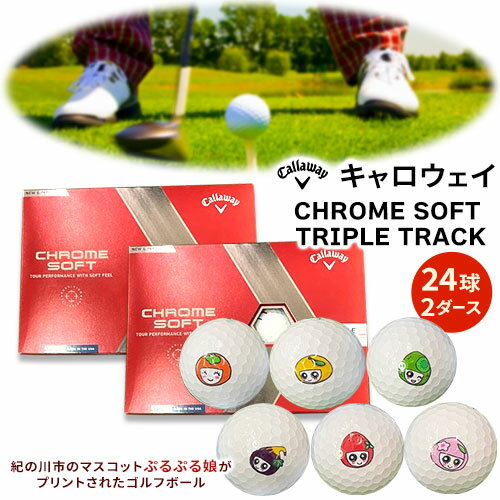 【ふるさと納税】ゴルフボール キャロウェイ CHROME SOFT TRIPLE TRACK 2ダース(24球) ユニオンクラフト株式会社 《90日以内に順次出荷(土日祝除く)》 和歌山県 紀の川市 Callaway キャロウェイ ゴルフボール ゴルフ 2ダース 24球 送料無料