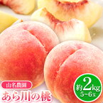 【ふるさと納税】 あら川の桃 約2kg 5-6玉 山名農園 《2024年6月下旬-9月中旬頃出荷》 和歌山県 紀の川市 桃 もも モモ 白鳳 白桃 フルーツ 果物 送料無料