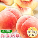 商品情報 あら川の桃 名称 桃 産地 和歌山県紀の川市 内容量 約4kg(9-12玉)日川白鳳、白鳳、清水白桃、なつっこ、なつおとめ、川中島白桃、月あかり※品種の指定はできかねますので、あらかじめご了承ください。 配送方法 冷蔵便でお届けします。 提供元 山名農園 ・ふるさと納税よくある質問はこちら ・寄附申込みのキャンセル、返礼品の変更・返品はできません。あらかじめご了承ください。寄附金の用途について 「ふるさと納税」寄附金は、下記の事業を推進する資金として活用してまいります。 寄附を希望される皆さまの想いでお選びください。 [1]安心して健やかに暮らせるまちづくり支援 [2]育み学ぶ元気なまちづくり支援 [3]交流と活気が生まれるまちづくり支援 [4]快適で環境と調和するまちづくり支援 [5]健全で自立したまちづくり支援 [6]特に用途を定めない