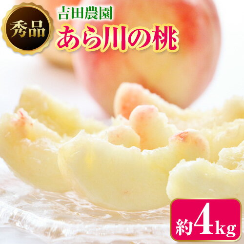 【ふるさと納税】あら川の桃 約4kg 秀品 吉田農園《2025月年6月下旬-8月下旬頃出荷》 和歌山県 紀の川市 桃 もも モモ 白鳳 清水白桃 川中島白桃 あら川の桃 送料無料 【ふるさと納税】あら川の桃 約4kg 秀品 吉田農園《2025月年6月下旬-8月下旬頃出荷》 和歌山県 紀の川市 桃 もも モモ 白鳳 清水白桃 川中島白桃 あら川の桃 送料無料