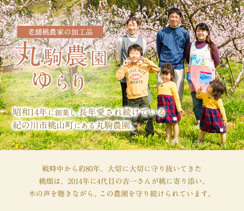 【ふるさと納税】厳選フルーツジャム150g×3本セット 丸駒農園ゆらり 《90日以内に出荷予定(土日祝除く)》和歌山県 紀の川市