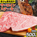 サーロインステーキ 黒毛和牛 牛 牛肉 ステーキ 1パック 約100g 200g 300g 400g 500g 有限会社松牛《30日以内に出荷予定(土日祝除く)》 和歌山県 岩出市 希少 肉 牛肉 熊野牛 送料無料 サーロイン ステーキ