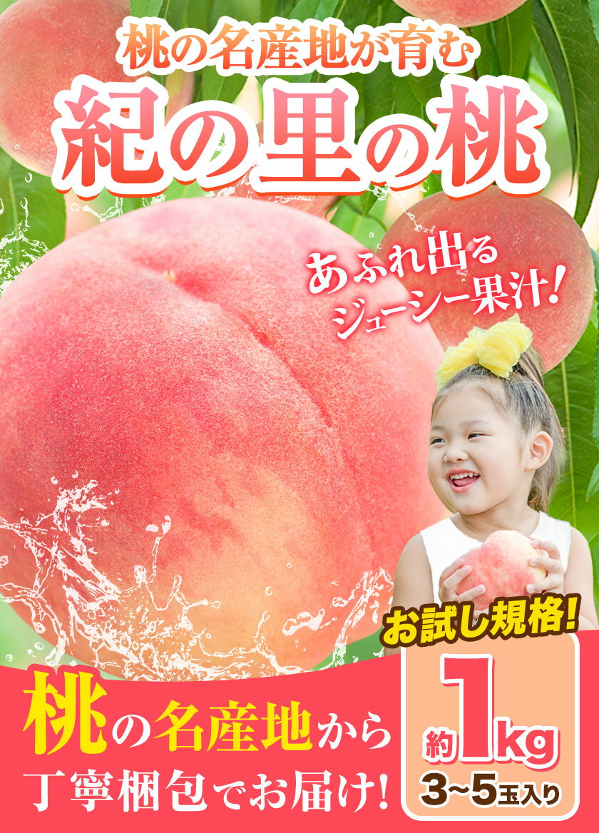 【ふるさと納税】桃 和歌山県産 紀の里の桃 約1kg (3-5玉)《2025年6月中旬-8月中旬頃出荷》 2025年 先行予約 紀の里の桃 白鳳 日川白鳳 なつっこ 清水白桃 川中島白桃 八旗白桃 和歌山 もも 一万円以下 10,000円以下