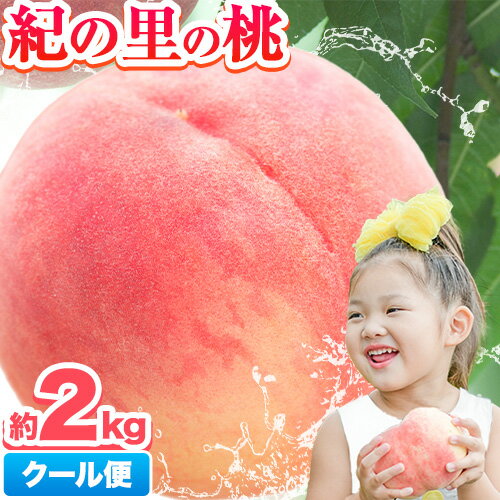 桃 もも 約2kg [6月中旬-8月中旬頃出荷] 紀の里の桃 送料無料 6〜8玉入り 和歌山県産 旬の桃を厳選 果物 フルーツ お取り寄せ 和歌山 わかやま 糖度 momo