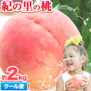 【ふるさと納税】 桃 もも 約2kg 《6月中旬-8月中旬頃