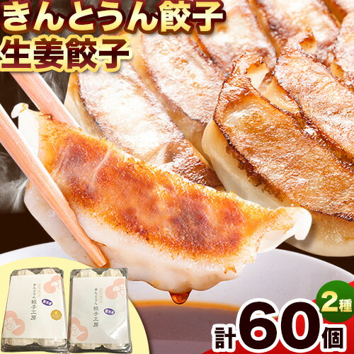 紀州きんとうん餃子 生姜餃子 2種 セット 計60個 ( 30個 入り × 2パック ) きんとうん餃子工房[90日以内に出荷予定(土日祝除く)] 和歌山県 岩出市 餃子 ぎょうざ 惣菜 中華 生姜 冷凍 送料無料