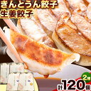 【ふるさと納税】紀州きんとうん餃子 生姜餃子 2種 セット 計120個 ( 30個 入り × 4パック ) きんとうん餃子工房《90日以内に出荷予定(土日祝除く)》 和歌山県 岩出市 餃子 ぎょうざ 惣菜 中華 生姜 冷凍 送料無料