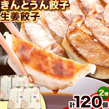 紀州きんとうん餃子 生姜餃子 2種 セット 計120個 ( 30個 入り × 4パック ) きんとうん餃子工房《90日以内に出荷予定(土日祝除く)》 和歌山県 岩出市 餃子 ぎょうざ 惣菜 中華 生姜 冷凍 送料無料