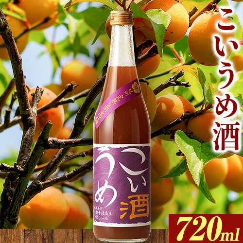 こいうめ酒 720ml 酒のねごろっく 《90日以内に出荷予定(土日祝除く)》和歌山県 岩出市 酒 梅酒 梅 こいうめ酒 720ml 送料無料