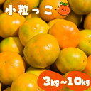 【ふるさと納税】温州みかん 「小粒っこ」 5kg または 10kg (極早生 早生 中生 晩稲)【2S～3Sサイズおまかせ】【2024年10月中旬～2025年1月下旬までに順次発送】＜味好農園＞/みかん ミカン 温州みかん 温州ミカン 柑橘 和歌山県 有機