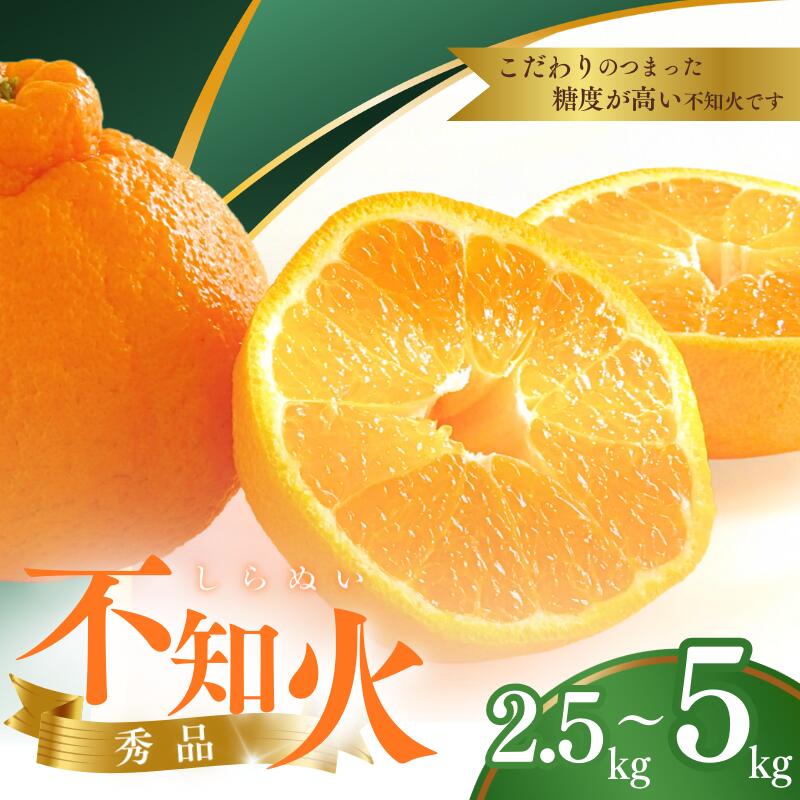 【ふるさと納税】【先行予約】秀品 露地不知火 2.5kg or 5kg【L～3Lのサイズおまかせ】【2025年2月上...