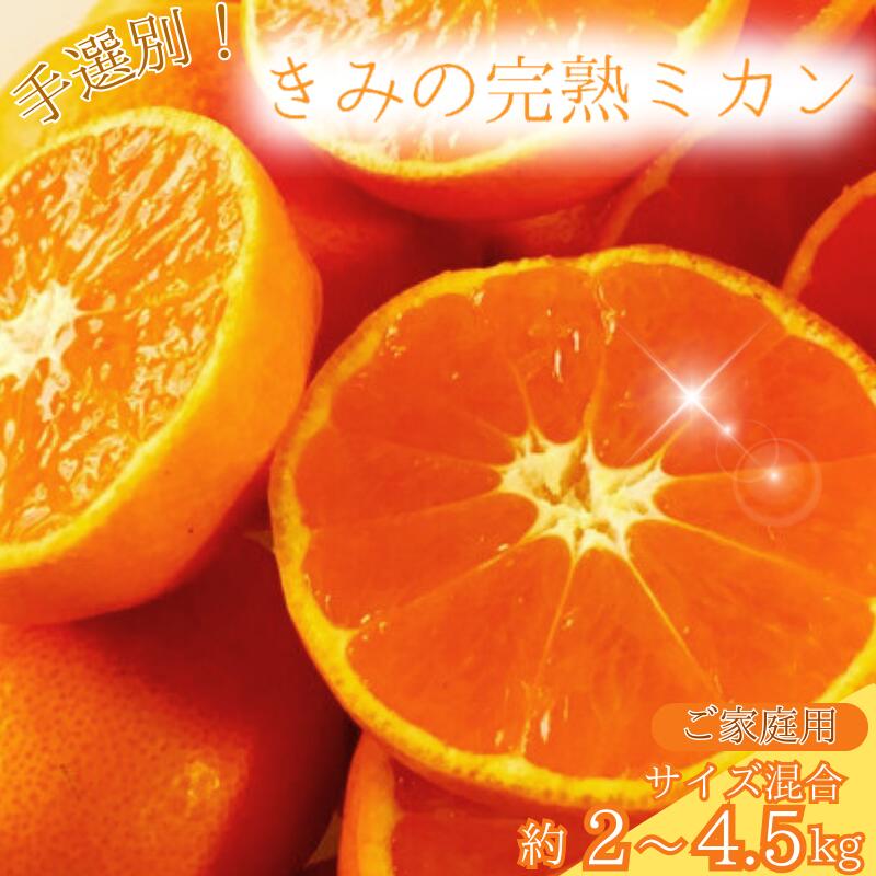 ڤդ뤵Ǽǡۤޏḥ̂ͭηꡪ֤ߤδϥߥ4.5kg(40~60)2S~M(ͥ)/ߤߥ󴻵²λ