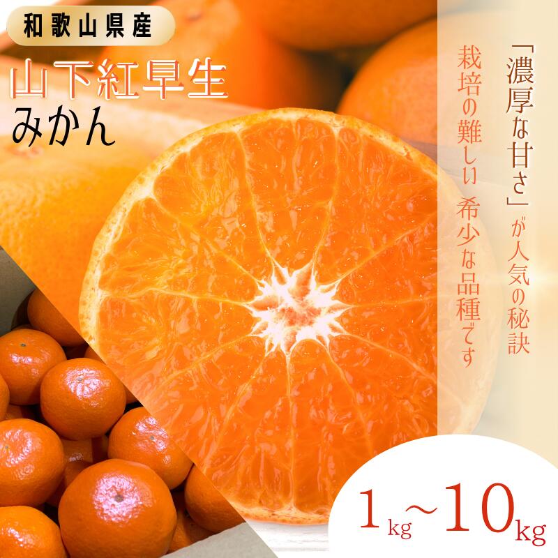 【ふるさと納税】 みかん 秀品 「紅娘」 山下紅早生 1kg 3kg 5kg 10kg 7000円 10000円 14000円 24000円【S~2Lサイズおまかせ】【2025年11月下旬~2025年12月中旬までに順次発送】<味好農園>《 レビューキャンペーン 実施中 ! 》/みかん 柑橘 温州みかん 和歌山県 有機