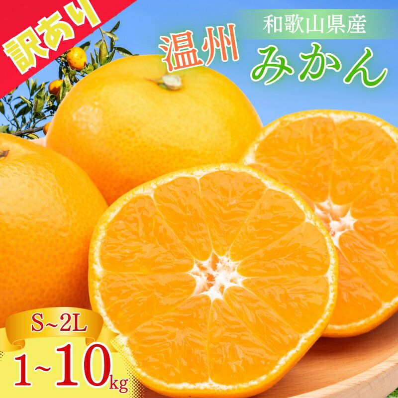 [ レビューキャンペーン 実施中 ! ][S〜2Lサイズおまかせ]訳あり品 温州みかん 「おてんば娘」1kg~10kg(早生・中生・晩稲)[2025年10月中旬〜2026年1月中旬頃までに順次発送][味好農園] /みかん ミカン 温州みかん 温州ミカン 柑橘 和歌山県 有機