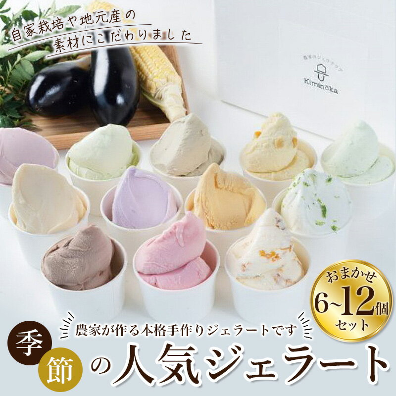 ڤդ뤵ǼǡۡڥߥΡꤹۥ顼8ĥå/顼