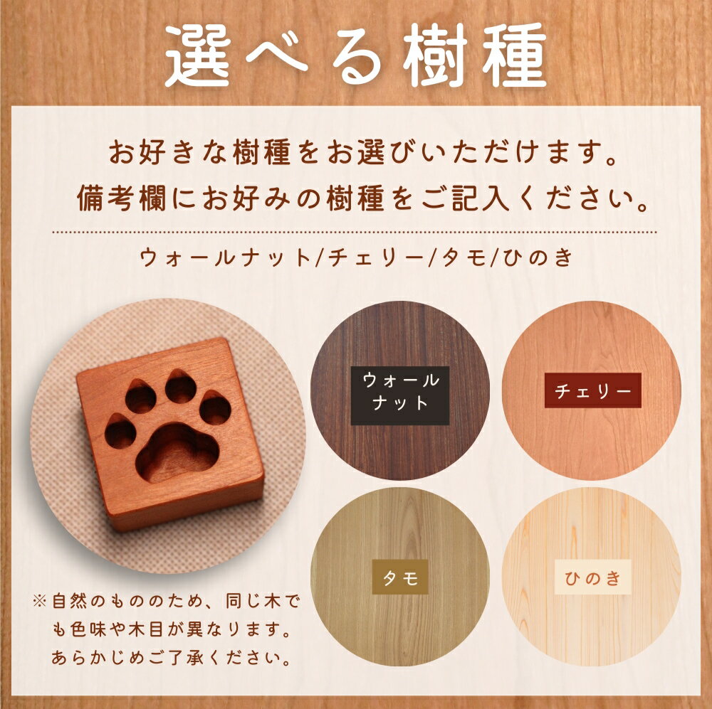 【ふるさと納税】 肉球ペン立て 四角 〈工房 アトリエやどり 和歌山県 紀美野町〉 / 木工品 ペン立て かわいい 木材 キューブ ひのき 桧 天然 木工 手作り プレゼント ギフト