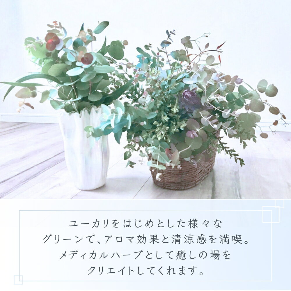 【ふるさと納税】【先行予約】＼アロマ効果抜群／ ユーカリとアカシア(ミモザ)のアレンジ〈なかやFarm 和歌山県 紀美野町〉/ オージープランツ 癒し 清涼感 植物 花瓶 ユーカリ アカシア ミモザ ハーブ プレゼント ギフト