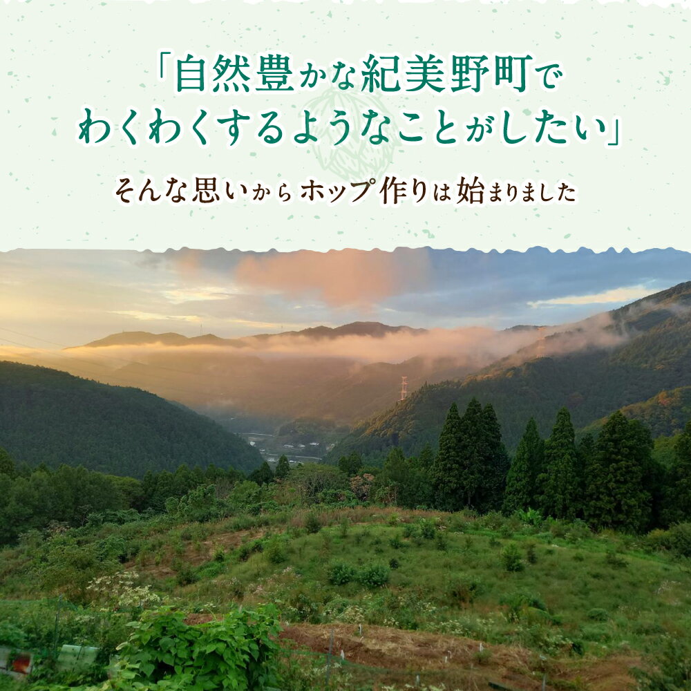 【ふるさと納税】紀美野町産ホップ100%使用！ きみのホップ 24本入り / ビール 地ビール ホップ 国産 さわやか 晩酌 パーティ 飲み会 和歌山県 紀美野町