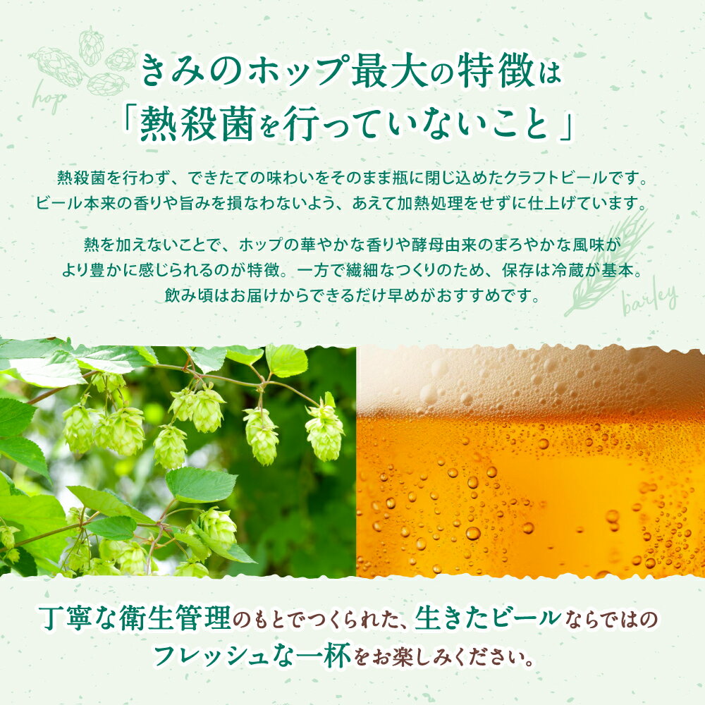 【ふるさと納税】紀美野町産ホップ100%使用！ きみのホップ 24本入り / ビール 地ビール ホップ 国産 さわやか 晩酌 パーティ 飲み会 和歌山県 紀美野町