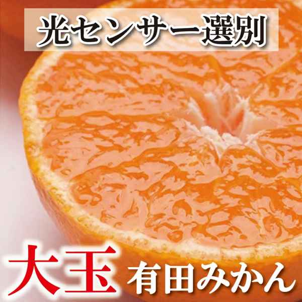 家庭用 大きな有田みかん (2L以上混合) [先行予約][光センサー選果][2025年11月より順次発送]/ 厳選 みかん