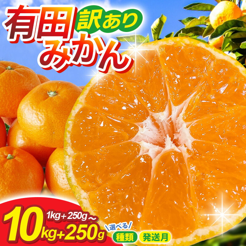 家庭用 有田みかん サイズ混合 (2S〜2L)[選べる容量・発送時期]1kg 2.5kg 5kg 7.5kg 10kg [わけあり・訳あり] ※2025年10〜順次発送予定 / みかん 果物 フルーツ 柑橘 和歌山 有田 ミカン くだもの 訳アリ 訳アリ品