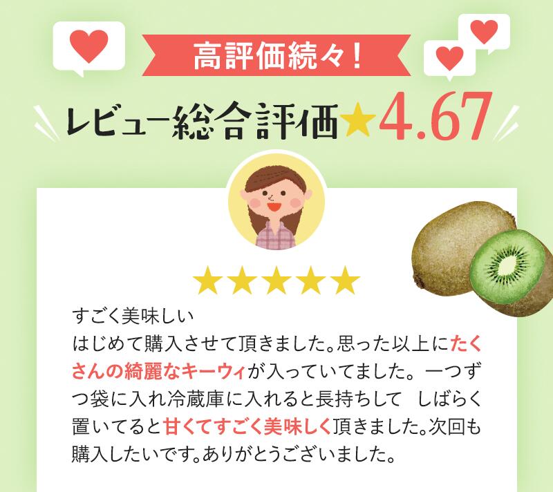 【ふるさと納税】 訳あり キウイ フルーツ 1kg 2.5kg 5kg 7.5kg 10kg 訳あり 【わけあり・訳あり・扁平果】【2025年11月中旬より順次発送予定】※北海道・沖縄・離島配送不可 【わけあり・訳あり・扁平果】 / きうい 和歌山 フルーツ 果物 くだもの 旬