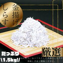 【ふるさと納税】＼ふっくら、ぷりぷり！／釜揚げしらす たっぷり 1.5kg(500gx3) ｜シラス 厳選 小分け 冷凍便 しらす 和歌山産