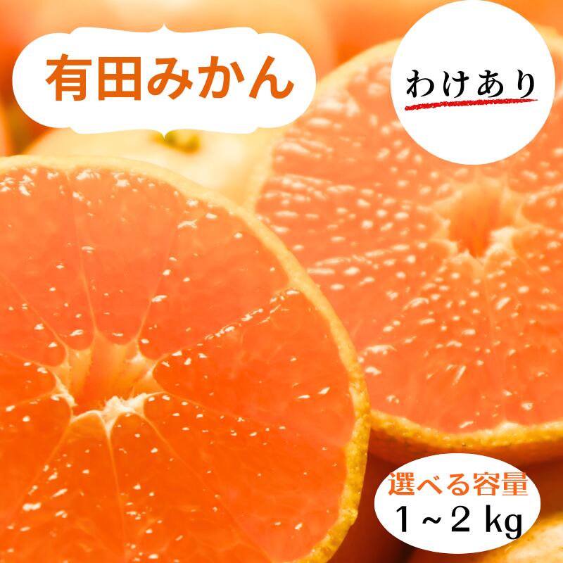 6位! 口コミ数「0件」評価「0」和歌山県産 有田みかん 訳あり 選べる容量※2024年10月下旬〜2025年1月中旬頃に順次発送予定（お届け日指定不可）