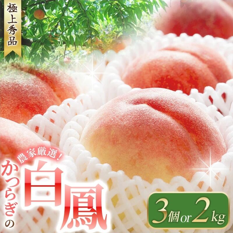 [予約受付]桃の王様 白鳳 特秀品 [選べる容量] 2025年6月末頃〜2025年7月末頃に順次発送予定(お届け日指定不可)/ 桃 もも 白鳳 フルーツ 果物 くだもの