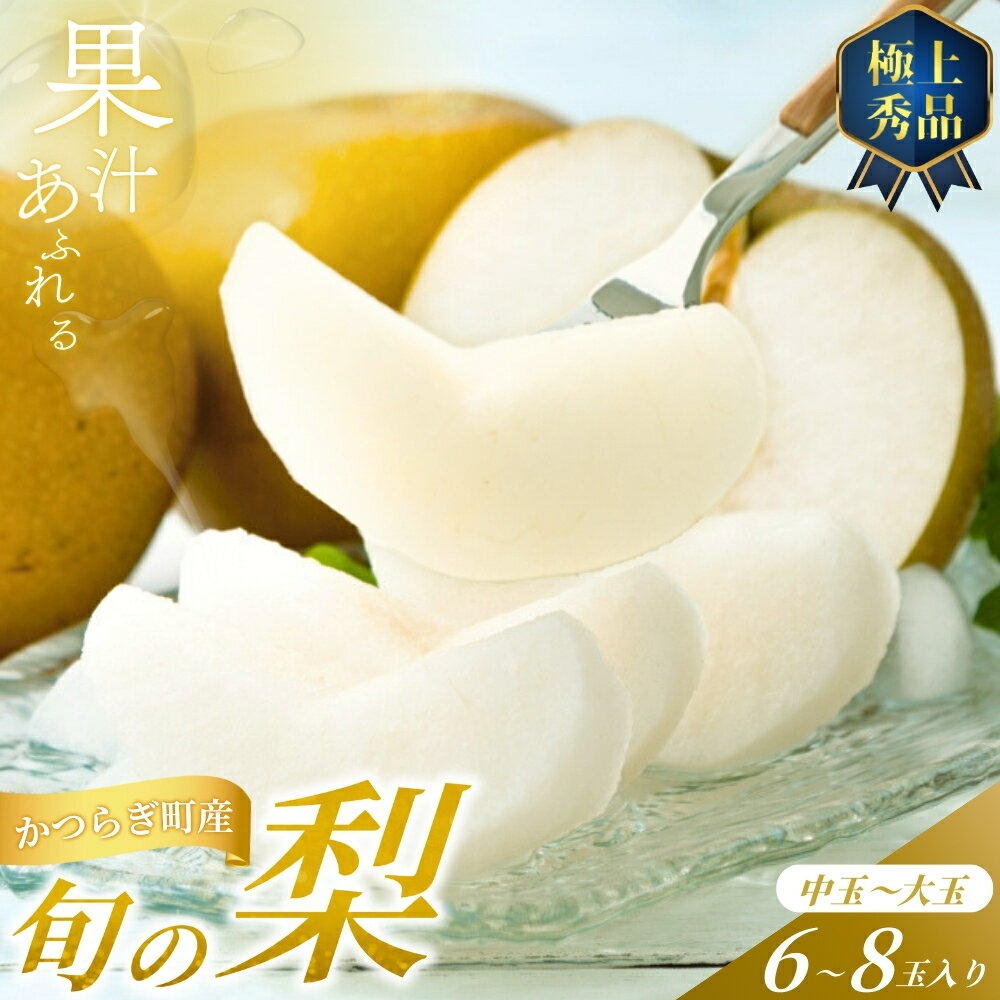 [先行予約]旬の梨(幸水ー豊水ーあきづき) 極上秀品(中玉〜大玉)6〜8個入り 2025年8月下旬〜2025年9月下旬頃に順次発送予定(お届け日指定不可)/ 和歌山 梨 フルーツ 果物 くだもの