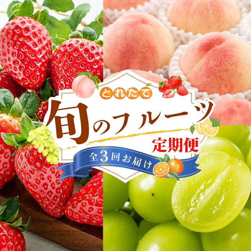 [フルーツ定期便・全3回]品質に自信あり!くしがきの里から直送 桃・シャインマスカット・まりひめを季節ごとにお届け! / 定期便 桃 もも シャインマスカット マスカット いちご イチゴ 苺 果物 フルーツ 3回[kgr037]