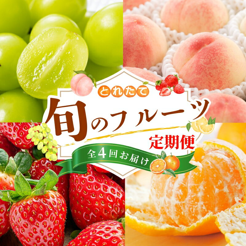 [フルーツ定期便・全4回]品質に自信あり!くしがきの里から直送 桃・シャインマスカット・はれひめ・まりひめを季節ごとにお届け♪ / 定期便 桃 もも みかん 柑橘 シャインマスカット マスカット いちご イチゴ 苺 果物 フルーツ 4回[kgr038]