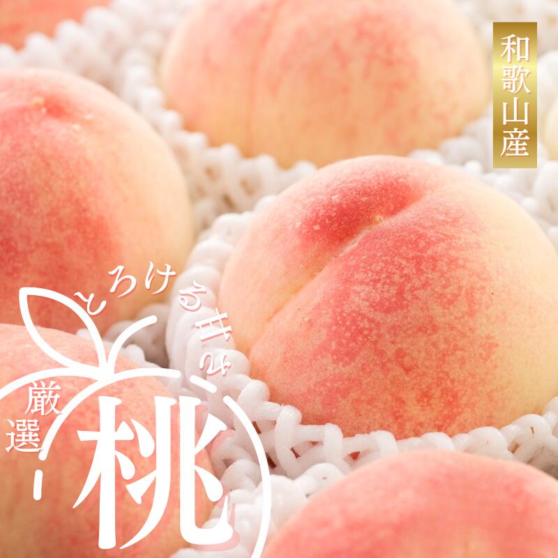 【ふるさと納税】【厳選】あふれる果汁で口いっぱい! 食べきりサイズ 和歌山県産 桃 2025年6月末頃~2025年8月末頃に順次発送予定(お届け日指定不可)/ 和歌山 モモ フルーツ もも 白桃 果物 くだもの