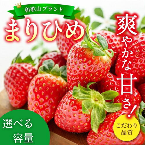 【ふるさと納税】【先行予約】まりひめ いちご 12粒～15粒入り 【選べるパック数】 ※2026年1月中旬～2026年3月中旬頃に順次発送予定（お届け日指定不可）/ いちご 苺 まりひめ 和歌山 フルーツ 果物 くだもの