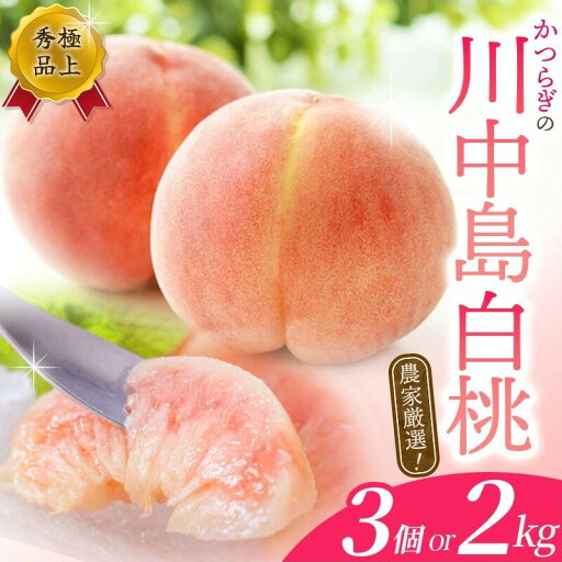 【ふるさと納税】【予約受付】桃の王様【予約受付】こだわり農家厳選 川中島白桃 和歌山産の桃 大玉 特秀品 【選べる容量】 2025年8月初旬頃~2025年8月末頃に順次発送予定(お届け日指定不可)/ 桃 もも 川中島 白桃 フルーツ 果物 くだもの 【ふるさと納税】【予約受付】桃の王様【予約受付】こだわり農家厳選 川中島白桃 和歌山産の桃 大玉 特秀品 【選べる容量】 2025年8月初旬頃~2025年8月末頃に順次発送予定(お届け日指定不可)/ 桃 もも 川中島 白桃 フルーツ 果物 くだもの