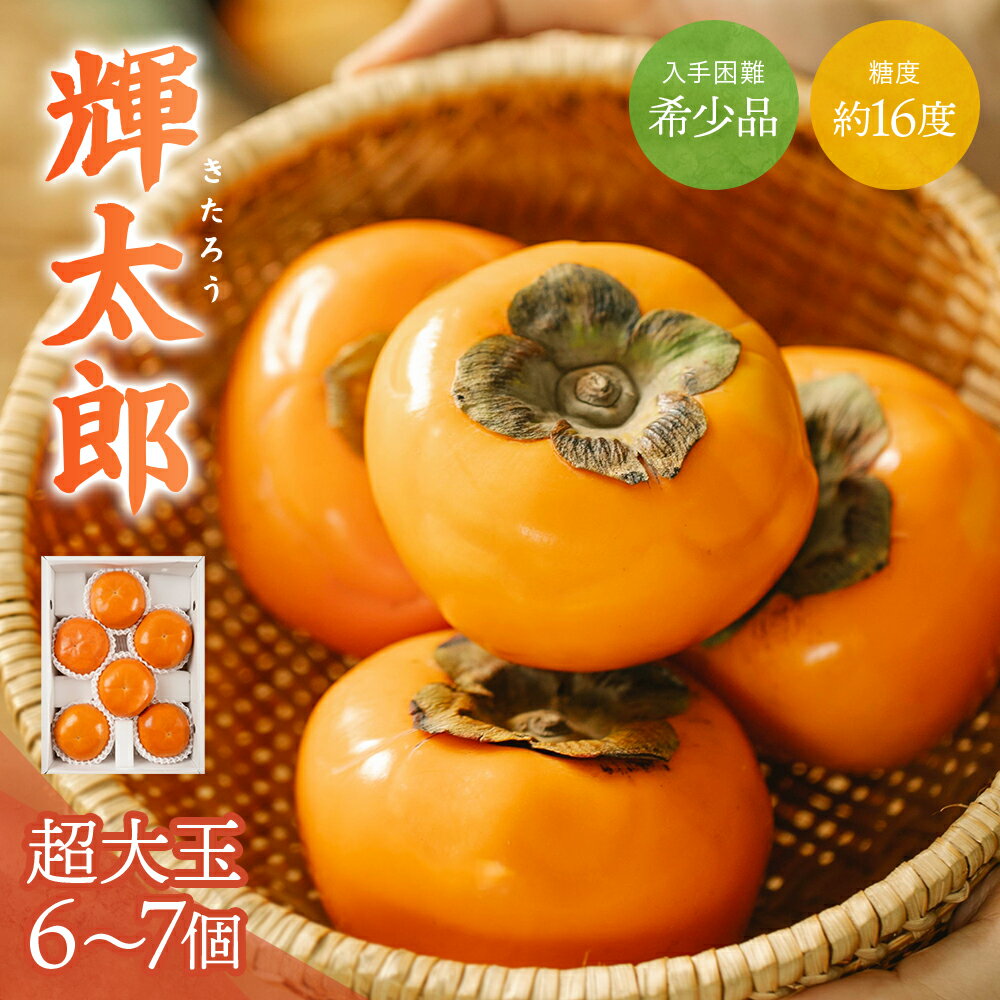 希少な柿[輝太郎]大玉6個〜7個 コクのある甘さ!こだわり農家厳選[2025年10月初旬頃から10月下旬頃順次発送] / 柿 かき 果物 フルーツ 輝太郎 デザート おやつ 和菓子 菓子 お菓子 和歌山産 和歌山県産