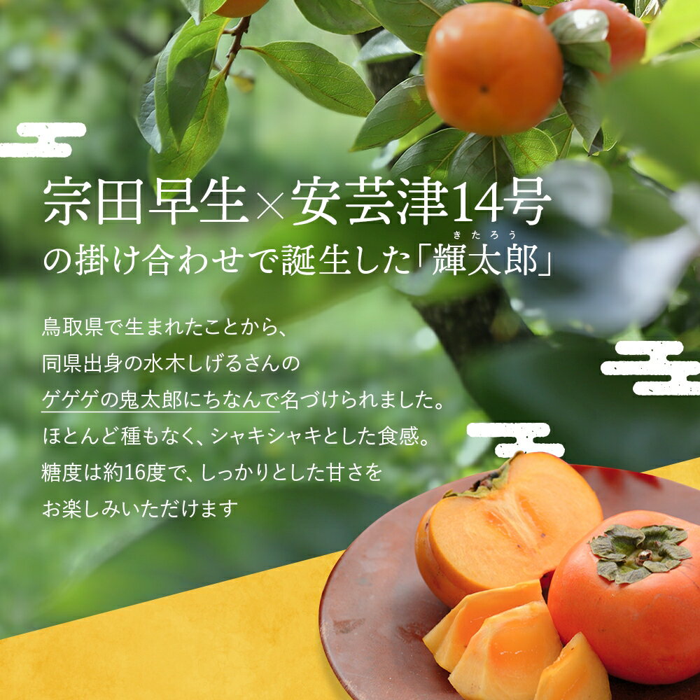 【ふるさと納税】希少な柿【輝太郎】大玉6個～7個 コクのある甘さ！こだわり農家厳選【2025年10月初旬頃から10月下旬頃順次発送】 / 柿 かき 果物 フルーツ 輝太郎 デザート おやつ 和菓子 菓子 お菓子 和歌山産 和歌山県産