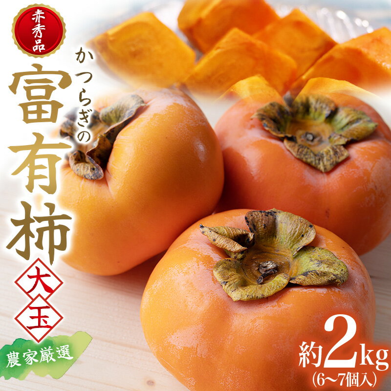 楽天和歌山県紀美野町【ふるさと納税】【先行予】 富有柿 秀品6～7個入り こだわり農家厳選 【2025年10月下旬頃～2025年11月下旬頃に順次発送】/ 柿 かき 果物 フルーツ 富有柿 デザート おやつ 和菓子 菓子 お菓子 和歌山産 和歌山県産