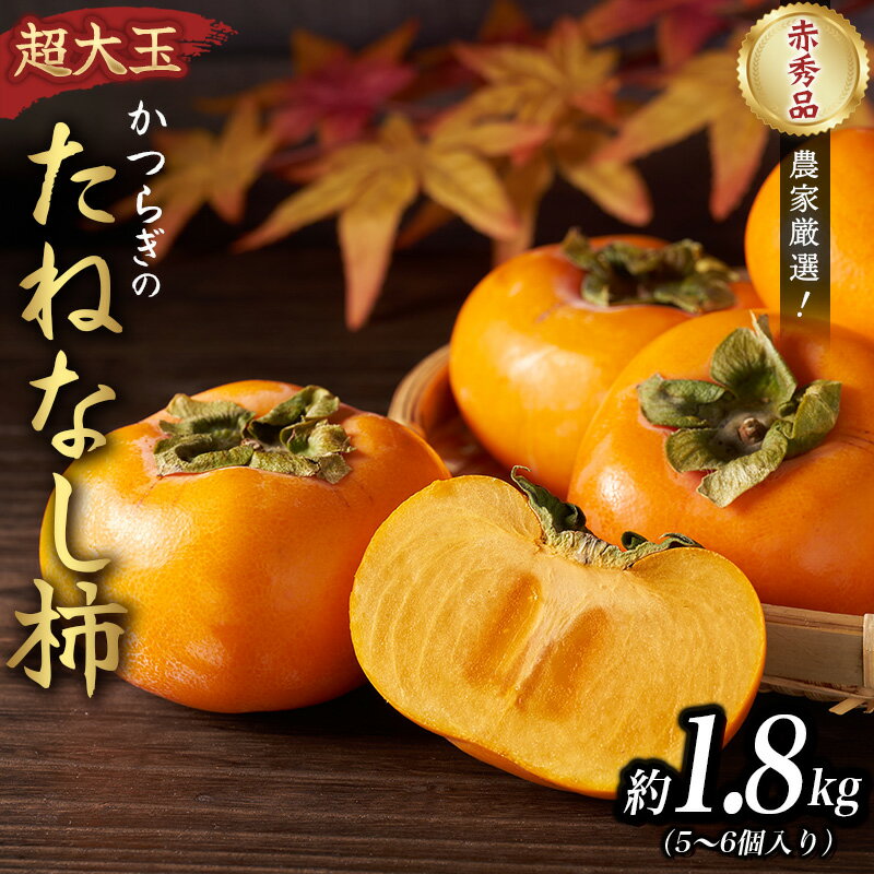 [2025年先行予約]種無し柿 早生刀根柿 1.8kg 2025年9月下旬〜2025年10月下旬頃に順次発送予定(お届け日指定不可)/ 和歌山 柿 かき フルーツ 果物 くだもの 刀根 種無し