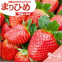 【ふるさと納税】【先行予約】特大まりひめ いちご 朝摘 【選べるパック数】2パック 4パック / 2026年1月中旬~3月末頃に順次発送予定(お届け日指定不可)/ いちご 苺 まりひめ 和歌山 フルーツ 果物 くだもの