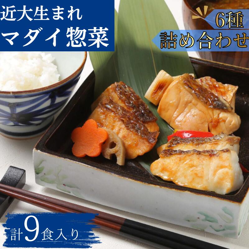 レンジで簡単!近大生まれマダイ惣菜 6種詰合せ(計9食入)おかず お惣菜 西京漬け 近畿大学 詰め合わせ セット
