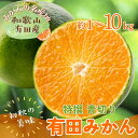 【ふるさと納税】【先行予約】【2025年9月中旬~10月中旬頃順次発送】特撰 青切り有田みかん【選べる容量】 / 和歌山 ミカン オレンジ 柑橘 フルーツ 果物 くだもの 旬※北海道・沖縄・離島配送不可