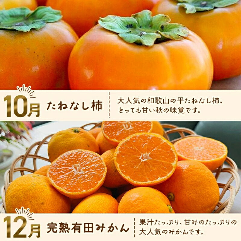 【ふるさと納税】 わかやま 旬の フルーツ 定期便 全4回 【選べる容量】 ※北海道・沖縄・離島への配送不可 （配送日時指定不可）/ 有田みかん まりひめ いちご 桃 柿