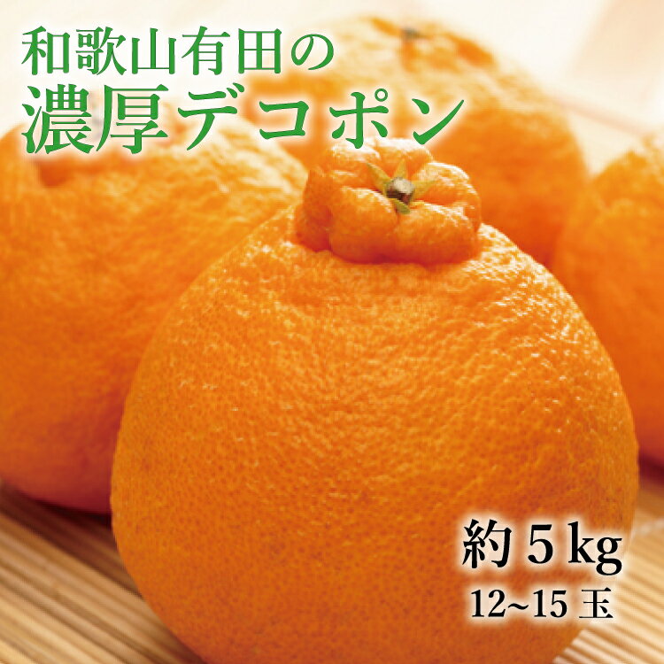 【ふるさと納税】【大人気】和歌山有田の濃厚大玉デコポン　12～15玉(約5kg)　※2025年1月中旬～3月下...