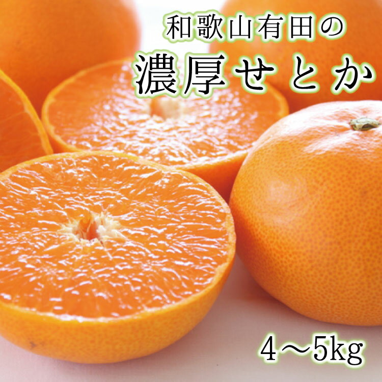 [高級]和歌山有田の濃厚せとか 約4〜5kg ※2025年2月中旬〜3月上旬(順次発送予定 / みかん ミカン オレンジ 柑橘 フルーツ 果物 旬