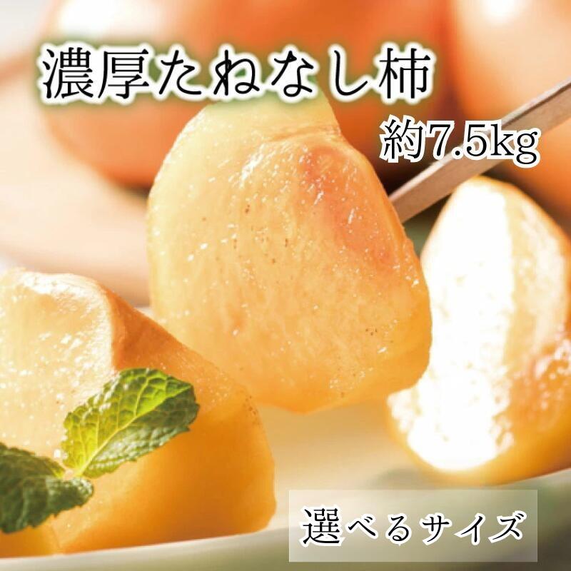 [選べるサイズ][和歌山ブランド] 濃厚たねなし柿 秀品 約7.5kg入り M / L〜4Lサイズ ※2025年10月上旬〜11月上旬頃順次発送予定 / 種なし 種無し タネなし 柿 フルーツ 果物 人気 旬