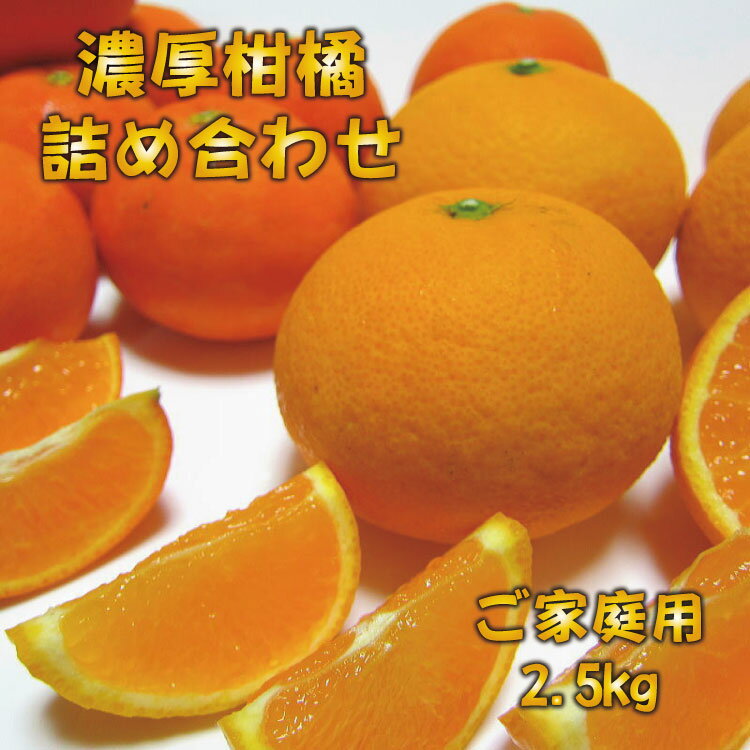 有田育ちの濃厚柑橘詰め合わせセット(ご家庭用)　約2.5kg　※2025年1月中旬～4月下旬順次発送予定 / 和歌山 ミカン オレンジ 柑橘 フルーツ 果物 くだもの ブランド 旬※北海道・沖縄・離島配送不可