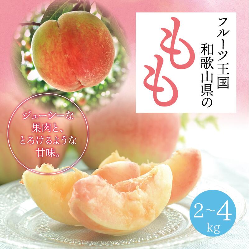 [選べる容量][先行予約][夏の美味][和歌山ブランド]フルーツ王国 和歌山の桃 約2kgまたは約4kg ※2025年6月中旬〜7月下旬頃順次発送(お届け日指定不可) / 和歌山 桃 モモ momo フルーツ もも 白桃 白鳳 清水白桃 なつっこ 川中島 ジューシー