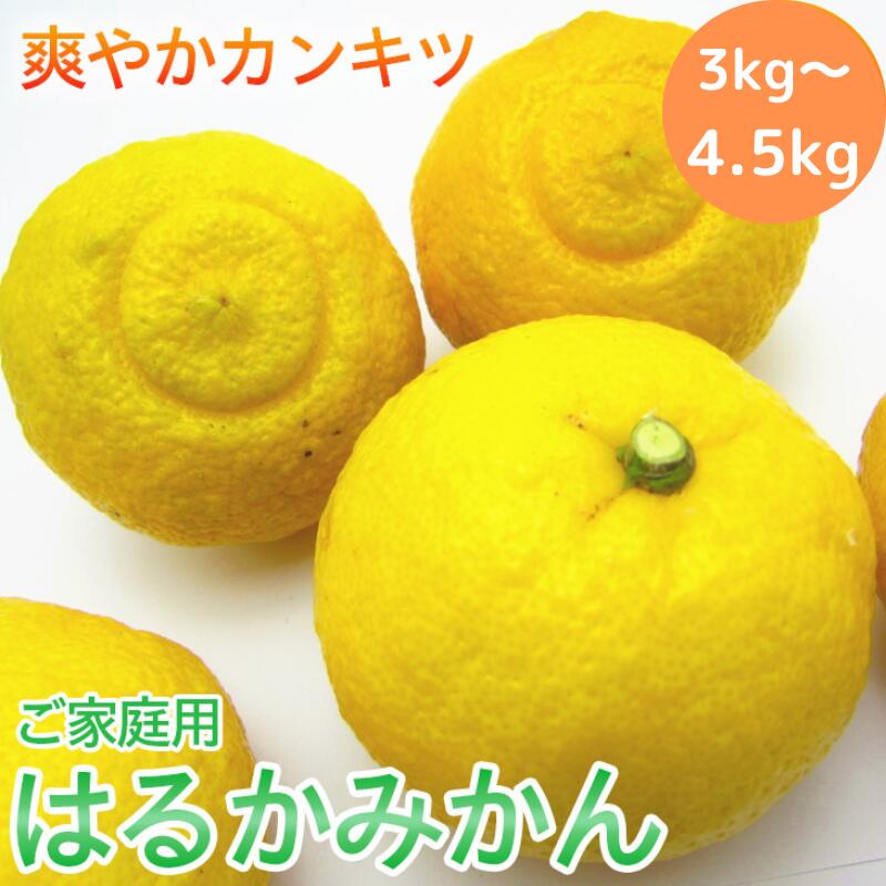 14位! 口コミ数「0件」評価「0」【先行予約】【人気柑橘】有田育ちの はるか みかん（訳あり 家庭用）【選べる容量】※2025年1月下旬～2月下旬頃に順次発送予定 ※着日指定･･･ 